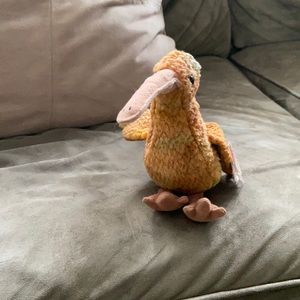 Beak the beanie baby